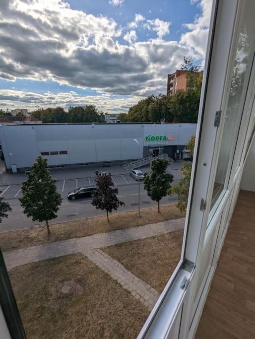 Lovely 2-Bedroom Flat In The Heart Of ドルスキニンカイ エクステリア 写真