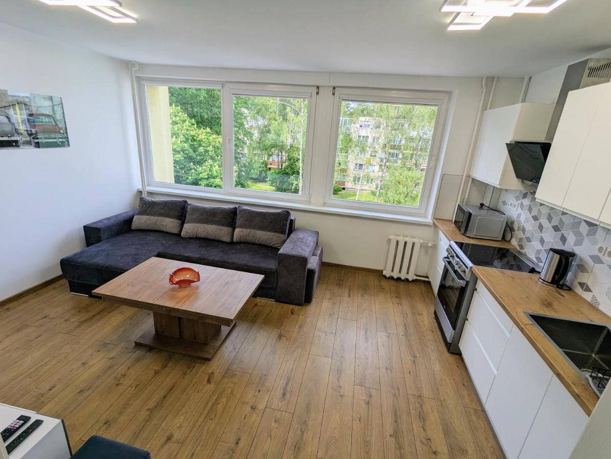 Lovely 2-Bedroom Flat In The Heart Of ドルスキニンカイ エクステリア 写真