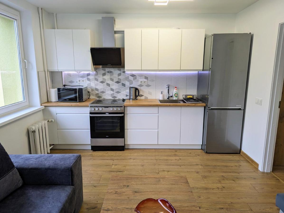 Lovely 2-Bedroom Flat In The Heart Of ドルスキニンカイ エクステリア 写真